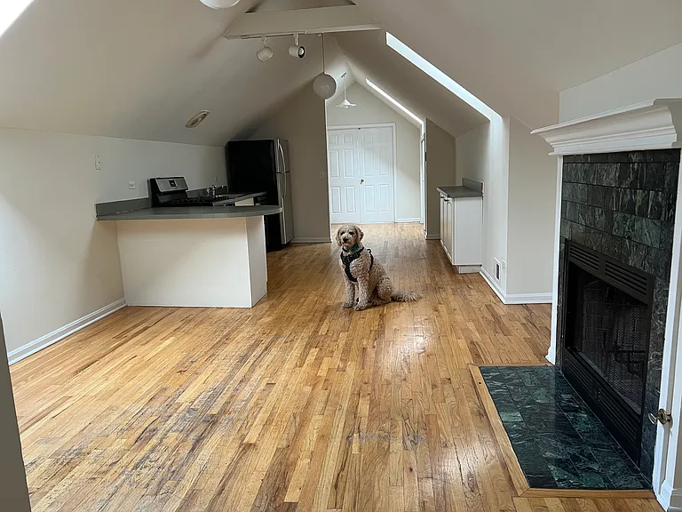 900 N Ashland Ave #4 — Photo 8