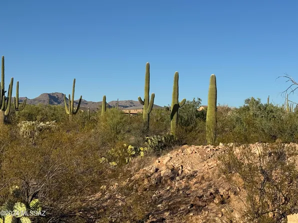 10510 N Blue Bonnet Rd, Tucson, AZ 85742