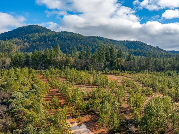 499 Laurel Rd, Cave Junction, OR 97523