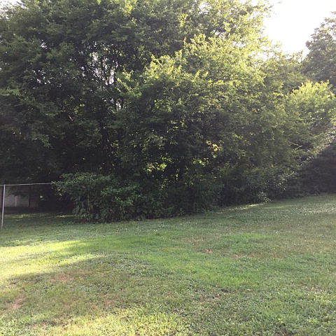2nd image of 308 W Lucille Dr