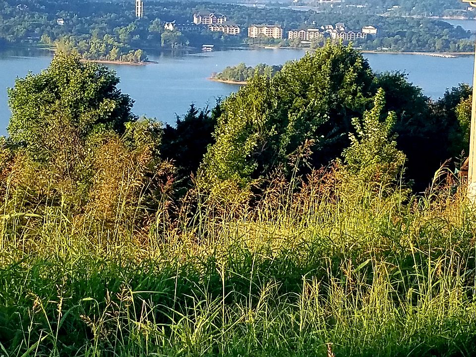 Top of Lot / Paradise Point