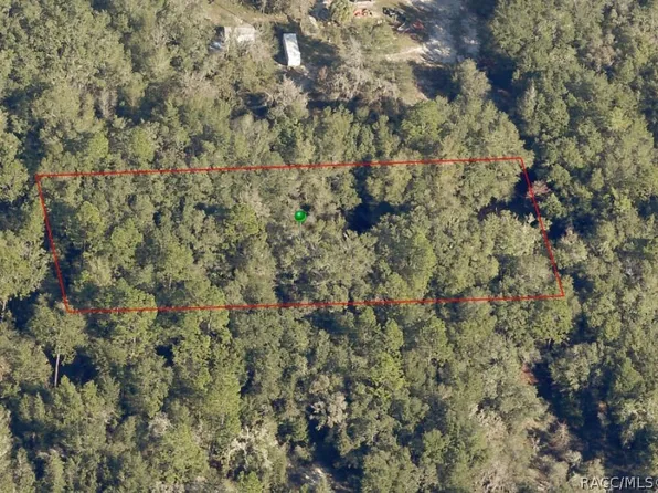 10228 N Burgundy Point, Dunnellon, FL 34433