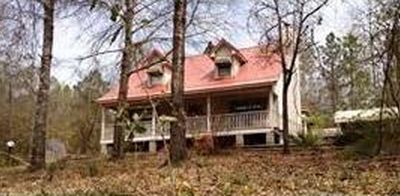17180 Jim Platt Rd, Citronelle, AL, 36522