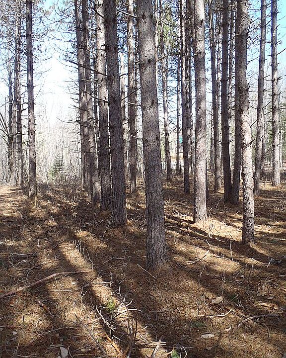 2nd image of 1542 Happytown Rd