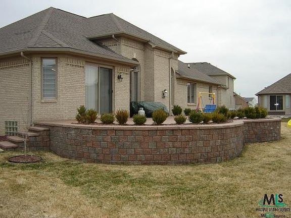 Back View