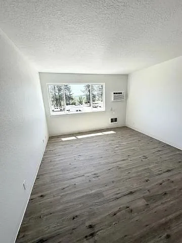 White Pine — Photo 41