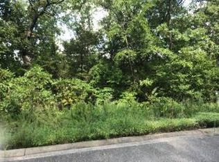 75 Skylee Dr, Hollister, MO 65672