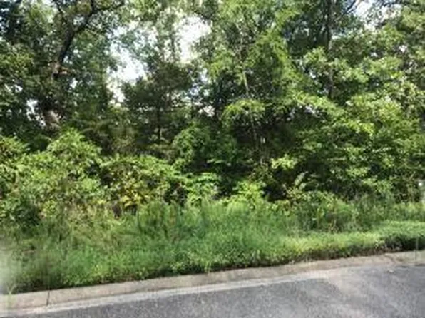 75 Skylee Drive, Hollister, MO 65672