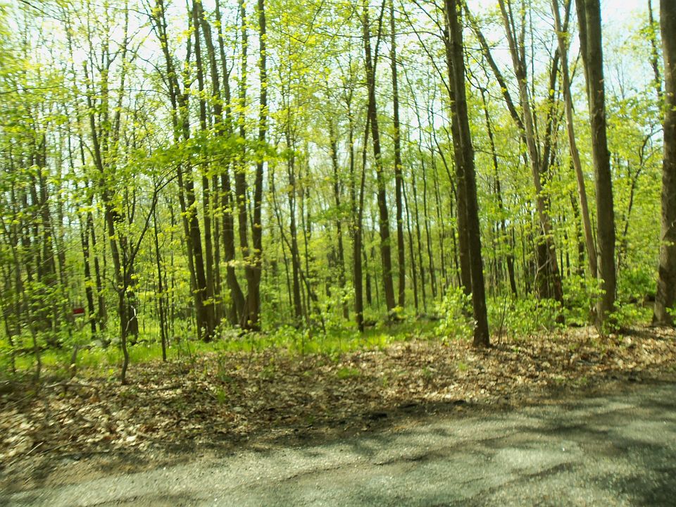 2nd image of O Haynes Hill Rd