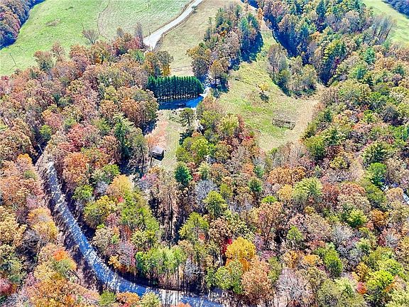 47th image of 225 Whetstone Mountain Rd