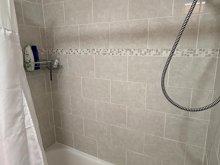 Guest Bathroom Shower