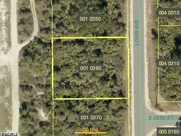 2801 Louis Ave, Alva, FL 33920