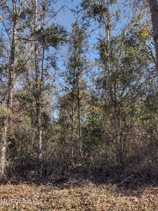 7443 Ieke Dr, Diamondhead, MS, 39525