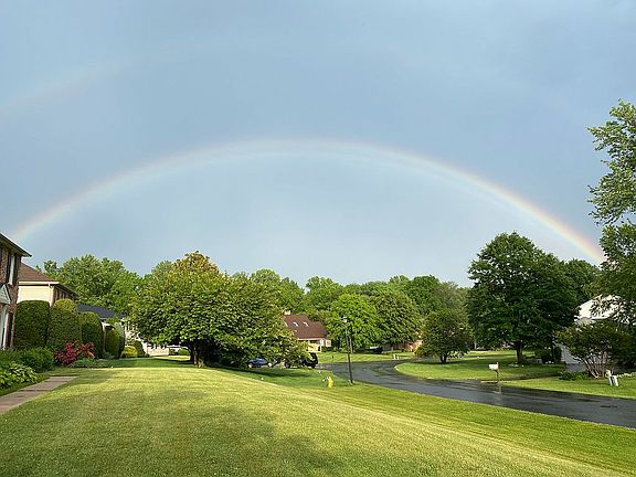 Beautiful Neighborhood