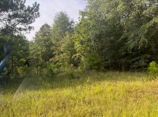 N/a Hwy #23, Waynesboro, GA 30830