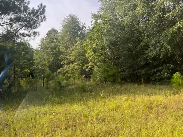 N/A Highway 23, Waynesboro, GA