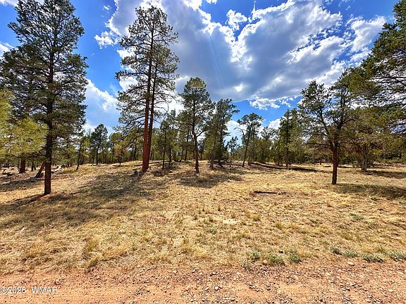 3rd image of Par 7h Chevelon Rd