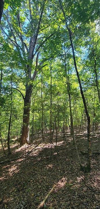 2nd image of 5 Ripplewood Trl #1-A