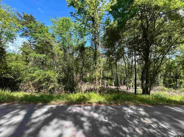 13912 County Road 1250, Tyler, TX 75709