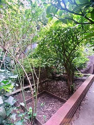 Rented by Citi Habitats | media 6