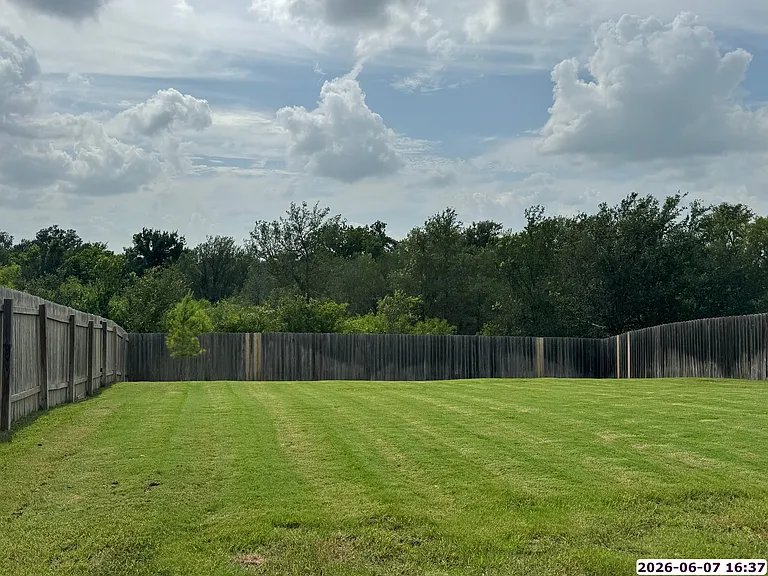 Back yard
