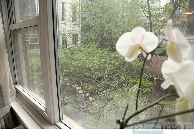 288 Lexington Ave #1H — Photo 9