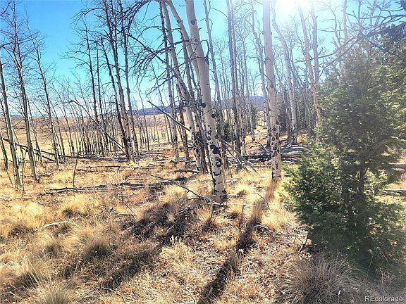 3rd image of 8802 Ranch Road