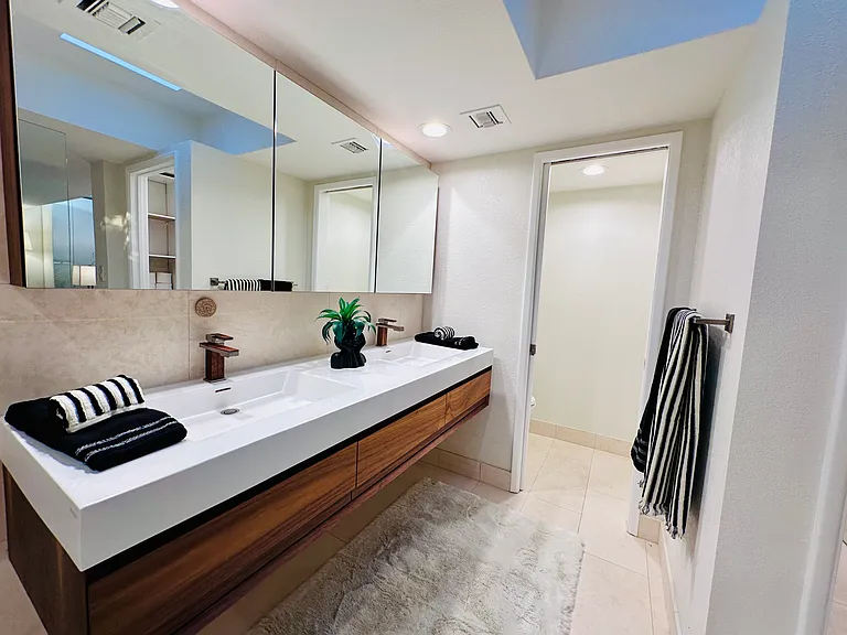 Newly refined master bathroom