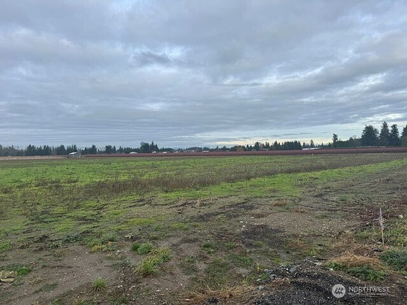 3rd image of 1420 Birch Bay Lynden Road