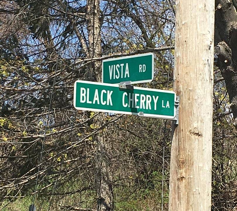 2nd image of Black Cherry Ln