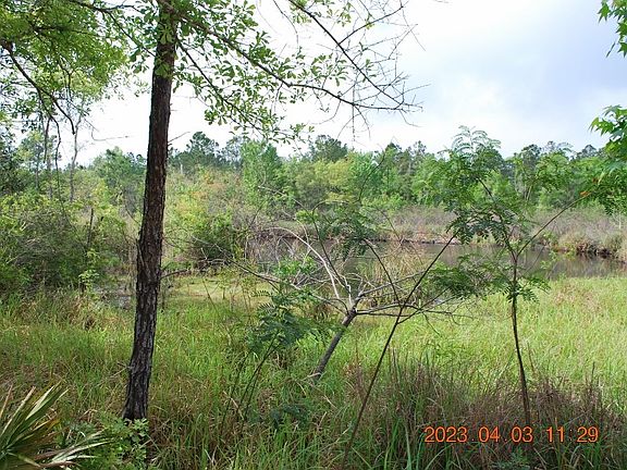 5th image of 132 Water Oaks Way