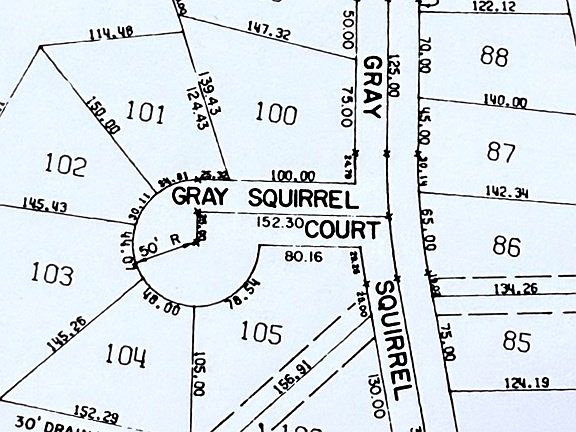 2nd image of R032769 Gray Squirrel Dr