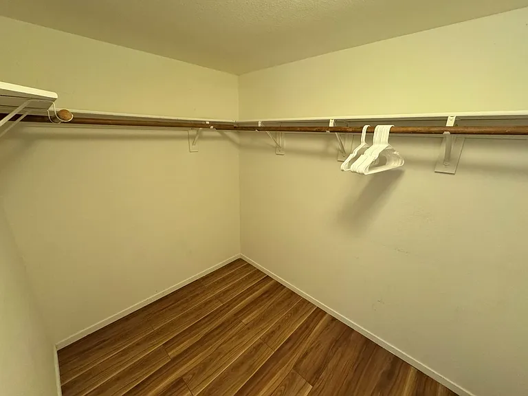 Walk-in closet with long hanging rod, upper shelf storage, and durable wood-look flooring for easy organization.