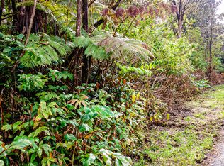 11-3845 2nd St LOT 223, Volcano, HI 96785