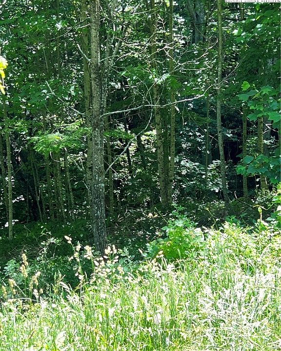 2nd image of Lots 5 & 6 Crab Orchard Boulevard