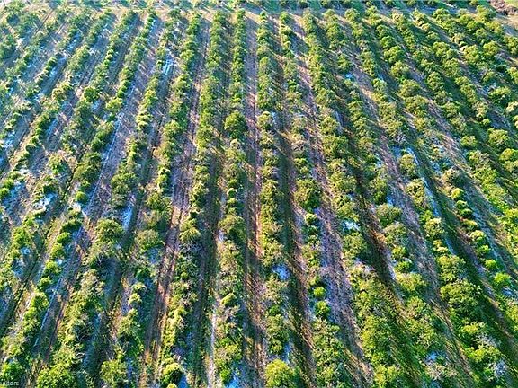 4th image of 2233 Hicks Road