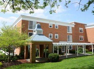 Rugby McIntyre, Charlottesville, VA 22903