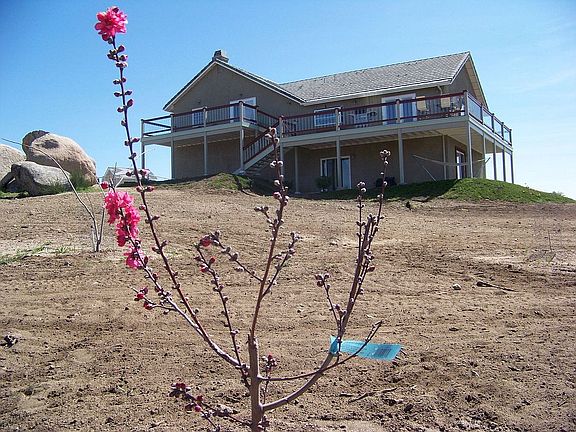 Back of house in early spring.