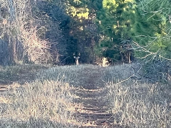 2nd image of 3150 Highway 2