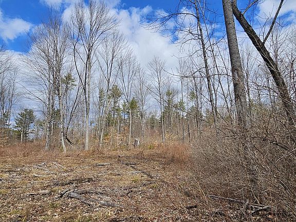 3rd image of Lot 113-2 Cushman Road