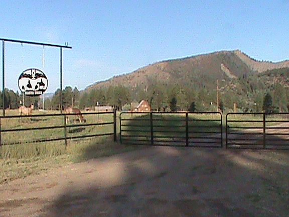 Entrance- front gate