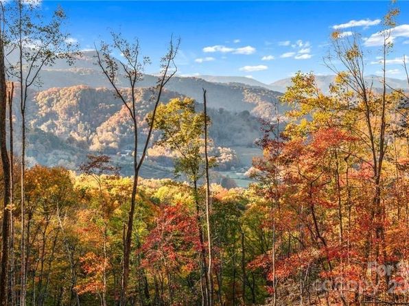 99999 Hookers Gap Rd, Leicester, NC 28748
