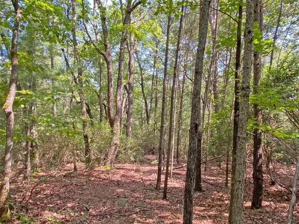 T S Jarrard Rd, Dahlonega, GA 30533