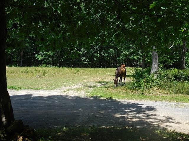 1st image of 585 Stacy Cemetery Ln