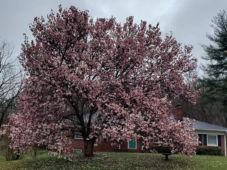 214 Old Home Rd — Photo 1