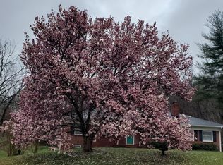 214 Old Home Rd, Asheville, NC 28804