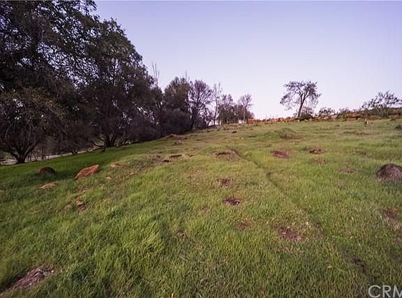 5th image of 18310 Grizzly Ct