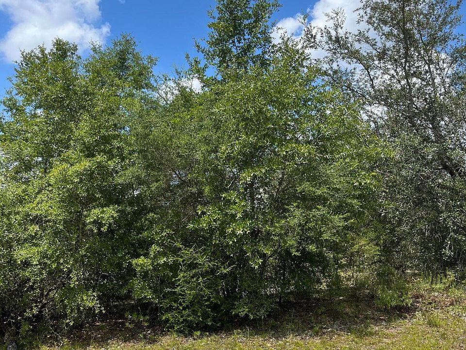 2nd image of LOT 54 Cavalier Dr