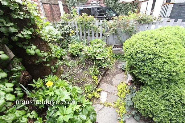 Rented by Citi Habitats | media 1