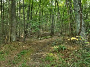 DOUBLEHEAD Gap Rd, Blue Ridge, GA 30513